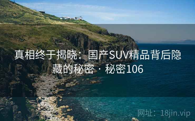 真相终于揭晓:国产SUV精品背后隐藏的秘密 · 秘密106