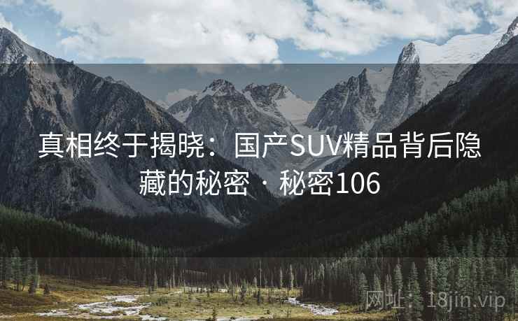 真相终于揭晓:国产SUV精品背后隐藏的秘密 · 秘密106